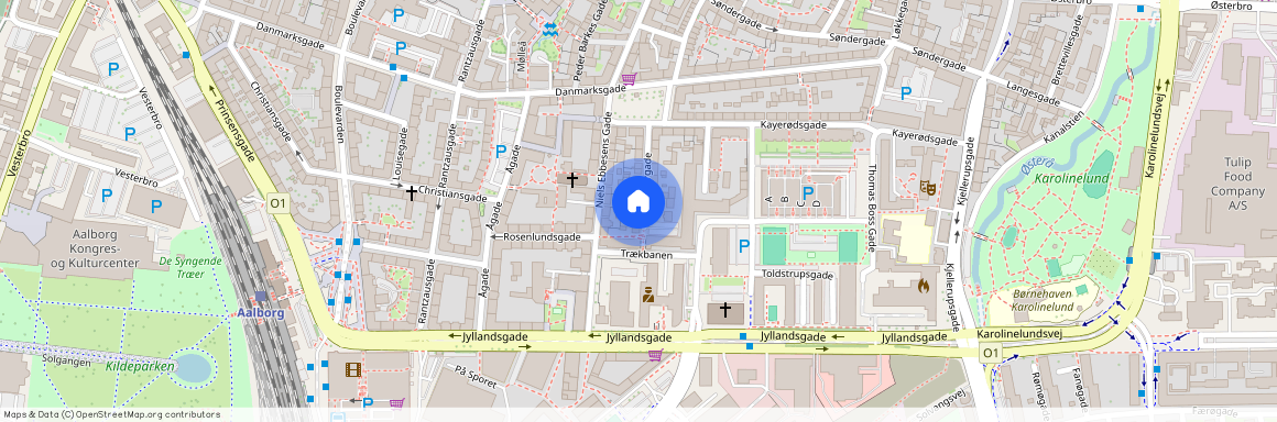 Priorgade 18, 1 tv, 9000 Aalborg