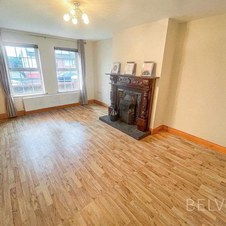 1 Causeway Meadows, Lisburn, BT28 2GD - Photo 1