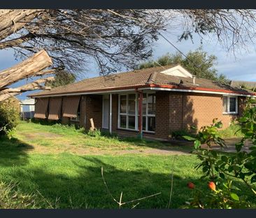 SPACIOUS FAMILY LIVING ON A HUGE BLOCK - Photo 4