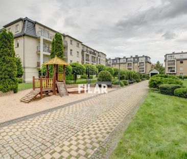 Wyścigi, Sopot - Zdjęcie 2