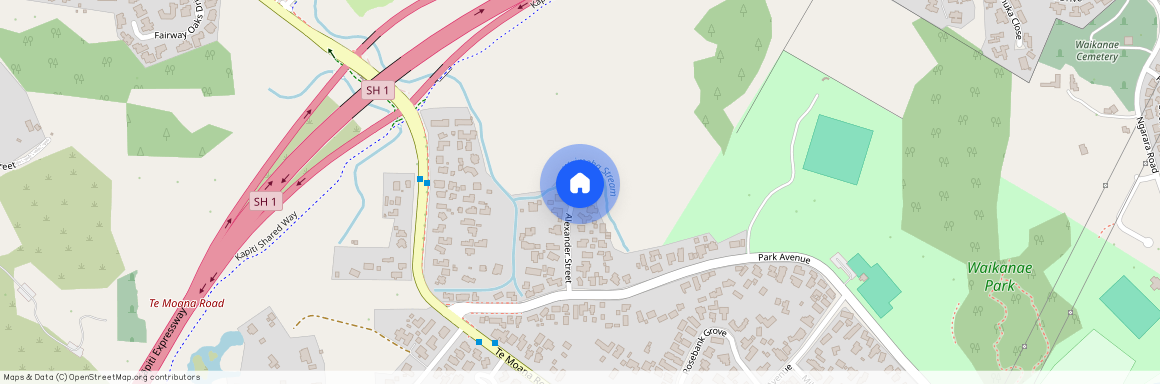 22 Alexander Street, Waikanae, Kapiti Coast