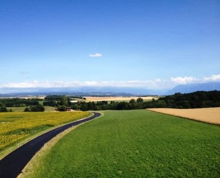 5.5 Zimmer, 150 m², 2. Stock - Photo 3