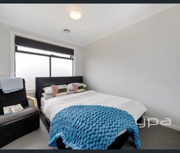 56 Dorrington Street, Greenvale, Vic 3059 - Photo 4
