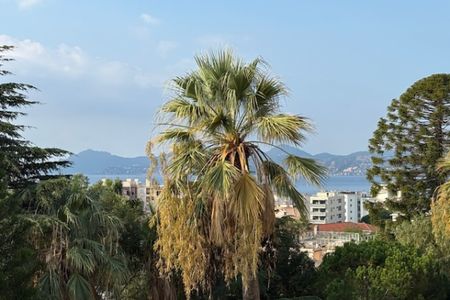 T3 apercu mer - Photo 3