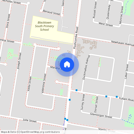 203 Flushcombe Road, Blacktown