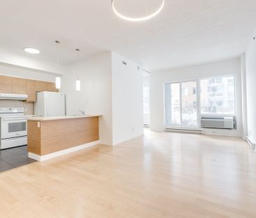 Condo for rent, Montréal (Saint-Laurent) - Photo 4