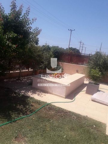 Μονοκατοικία για ενοικίαση Λαγονήσι (Καλύβια Θορικού) - Photo 3
