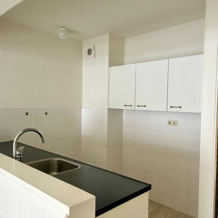 Te huur: Van Bijnkershoeklaan 126 - Foto 3