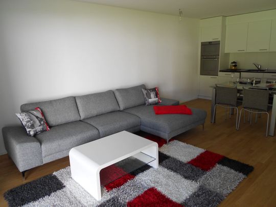 3.5 Zimmer, 75 m², 1. Stock - Foto 1