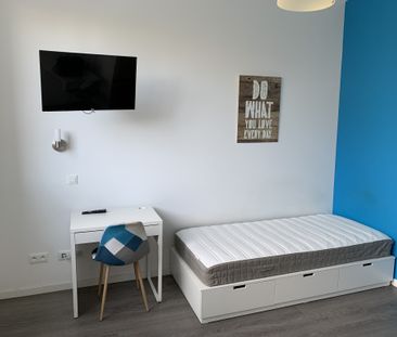 Location Appartement 1 pièce 23m² SARREGUEMINES 57200 - Photo 2