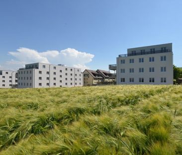 "Moderne Wohnung in Niederwangen - Mieten ohne Kaution" - Foto 1