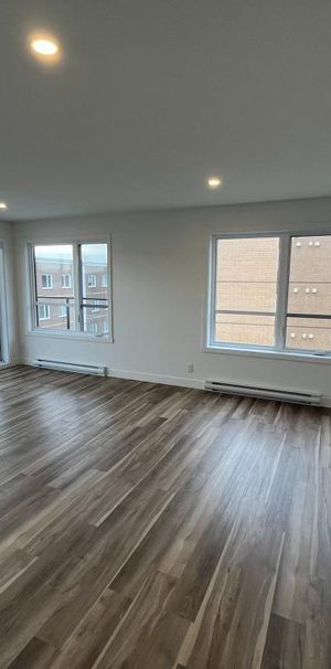 Grand 5 1/2, ANIMAUX ACCEPTÉS, Libre le 1er juillet - Photo 1