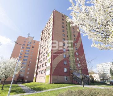 Pronájem bytu 1+kk 32 m2 - Photo 5