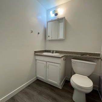 2 Beds 1 Bath - Apartment - Photo 4