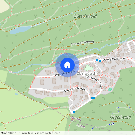 Obergütschrain 2, 6003 Luzern