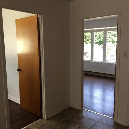 Cuisine 100% renovée, 4 1/2 disponible dès maintenant ! - Photo 4