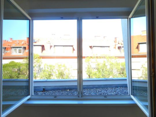 CITY PARK sonnige, sanierte 2ZI mit Allgemeingarten - Photo 1