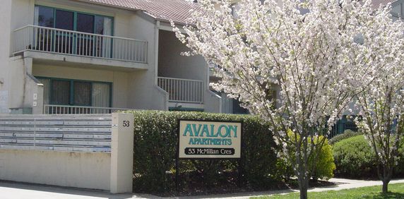 53/55 McMillan Crescent, Griffith ACT 2603 - Apartment For Rent | Domain - Photo 2