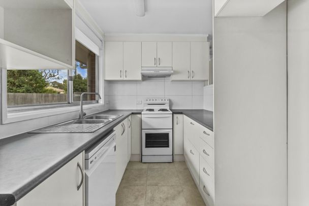 Home with Ample Outdoor Space! - Photo 1