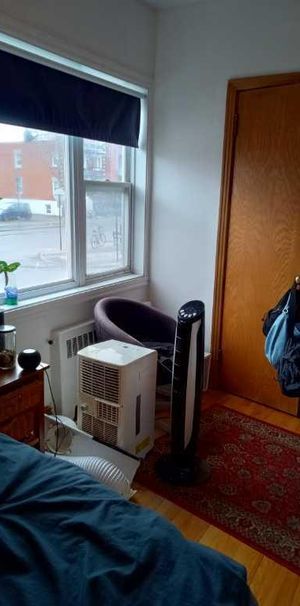 Beau 3 1/2 – Rosemont/Petite-Patrie - Photo 1