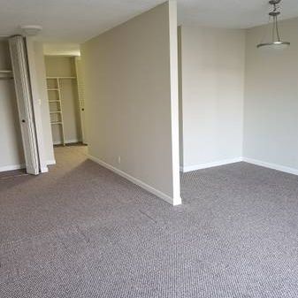 BRIGHT STUDIO UNIT -CHARMING UNIT *MINUTES FROM METROTOWN - Photo 4