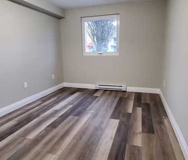 apartments at 30 Bradmon Drive - Photo 3