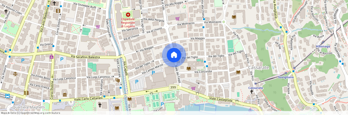 6900, Lugano, Viale Dei Faggi