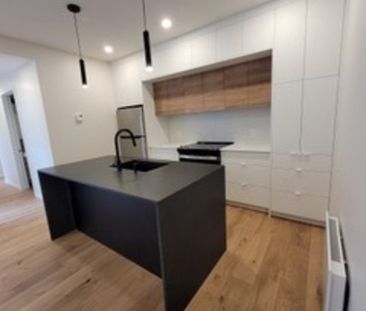 2138 Rue du Centre, Montréal (Le Sud-Ouest), QC H3K - Photo 5