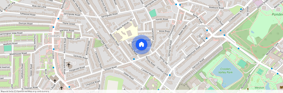 20 Spring View Road, Crookesmoor