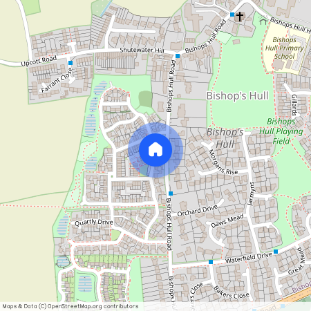 Shutewater Orchard, Bishops Hull, Taunton, TA1