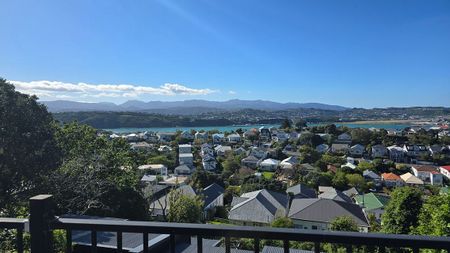 Charming 4BR Hataitai Haven w/ AC & Balcony - Photo 5