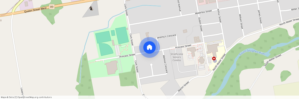 773 Princess Street, Wellington North