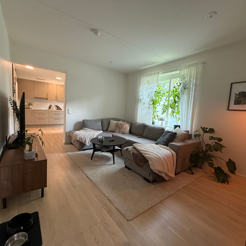 Vikaholmsallen, Växjö - Photo 1