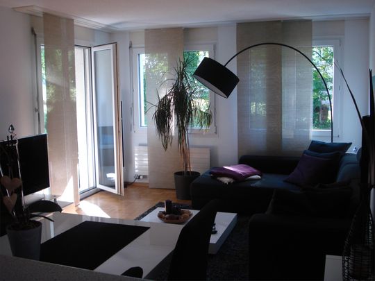 schöne 2.5 Zimmerwohnung mit Sitzplatz an ruhiger Lage - Photo 1