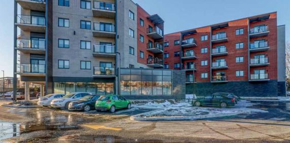 ✨ Immense 4 ½ de 1141 pieds carrés disponible dès maintenant ✨ - Photo 2