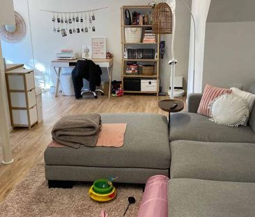 Lovely Saint Heliers Studio - Photo 1