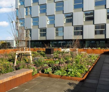 Te huur: Appartement Lise Meitnerhof in Leiden - Photo 4