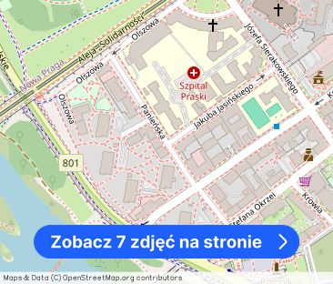 Cisza, zieleń i 15 minut spacerem na Starówkę - Zdjęcie 1