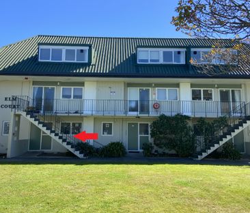 Petone Living - Photo 5