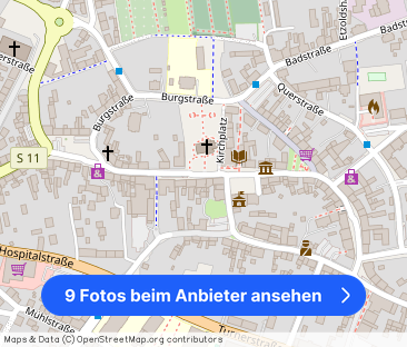 +++ 2 Raumwohnung mit EBK in Bad Lausick +++ - Foto 1