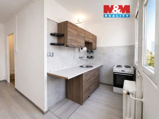 Pronájem bytu 1+kk, 26 m - Fotografie 1