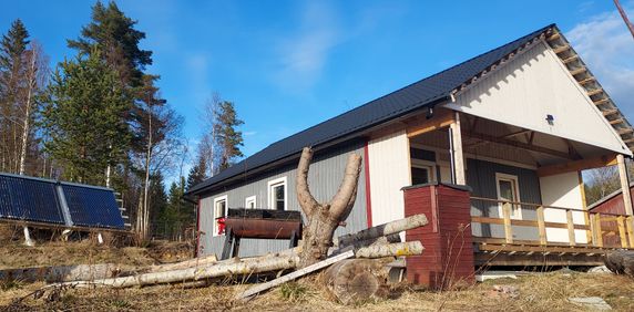 Dala, Skog - Foto 2