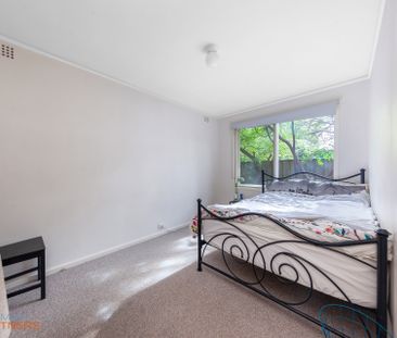 21 Tardent Street, Downer ACT 2602 - House For Rent | Domain - Photo 3