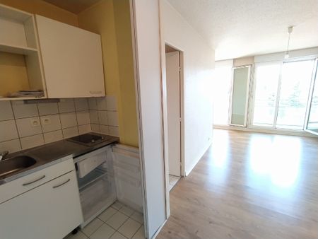 Appartement - 2 pièces - Jardin Lecoq/Facultés - Photo 4