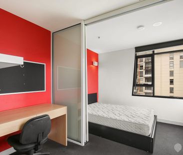 Great sized studio - Photo 2