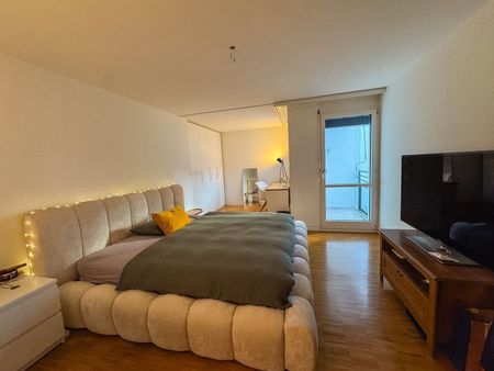 2-ROOM APARTMENT IN KILCHBERG (ZH), FURNISHED, TEMPORARY - Photo 2
