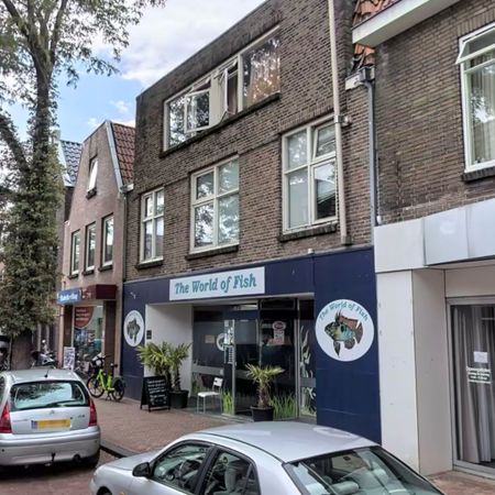 Te huur: Kamer Thomas a Kempisstraat 103 a 7 in Zwolle - Foto 4