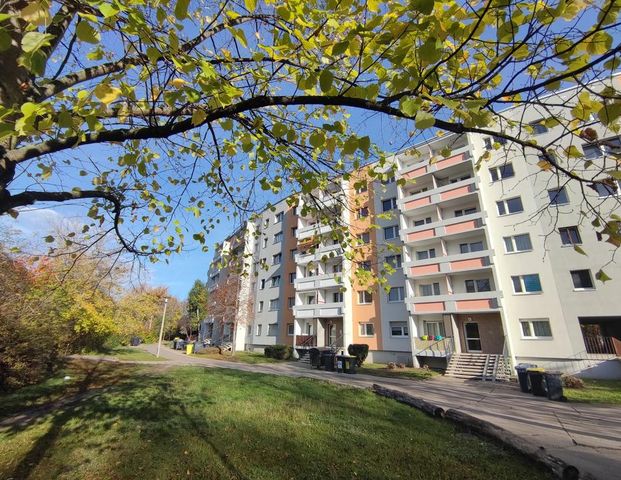 @ Eure 4‑Zimmer-Familienoase mit Balkon & offener Wohnküche @ - Foto 1