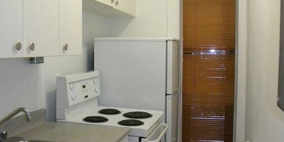 1 chambre - 3655 Ste-Famille, Montréal - Photo 3