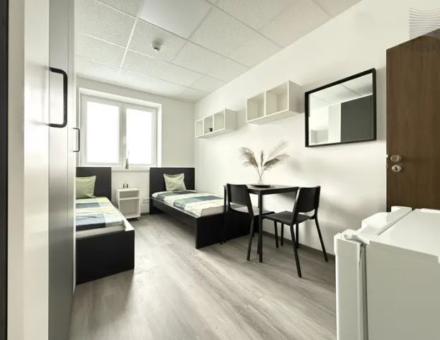 Moderní a světlý neprůchozí pokoj k pronájmu v atraktivní lokalitě Brna - Fotografie 1
